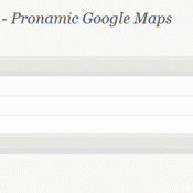 Pronamic Google Maps Options screen Pronamic Google Maps Options screen
