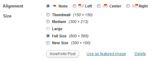 image_size_names_choose