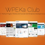 One-Stop Shop for All WordPress Needs - WPEka Club