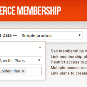 How To Start Using WooCommerce Membership Extension