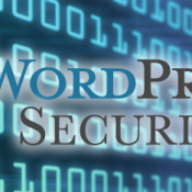 Setting IP Restrictions to the WordPress Login Page