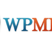 Why Using the WPML Plugin is Your Best Bet for Building a Multilingual Website