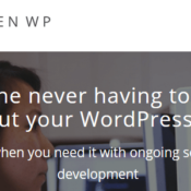 Stop Wasting Time on Technical Stuff: A Look at the WordPress Maintenance Provider Zen WP