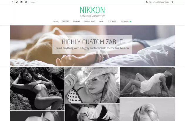 Nikkon WordPress Theme
