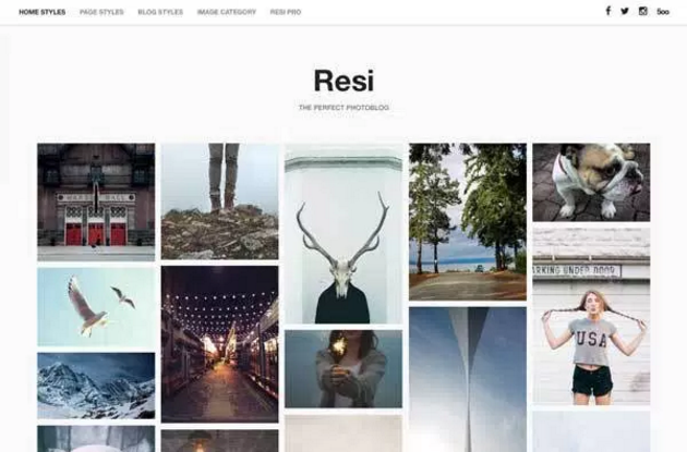 Resi WordPress Theme