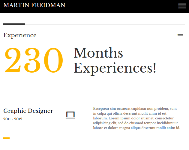 Promotion - WordPress Animation Themes