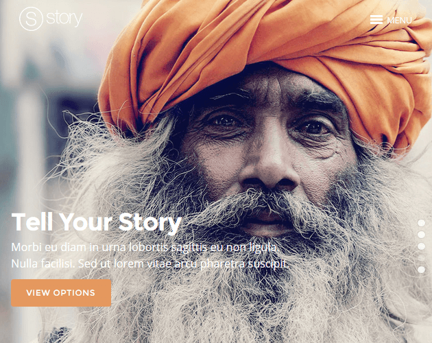 Story - WordPress Animation Themes