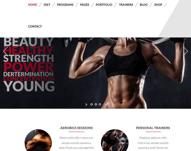 VEDA - WordPress Animation Themes