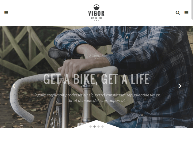 Vigor - WordPress Animation Themes