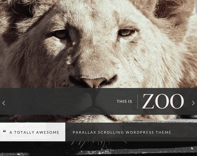 Zoo - WordPress Animation Themes