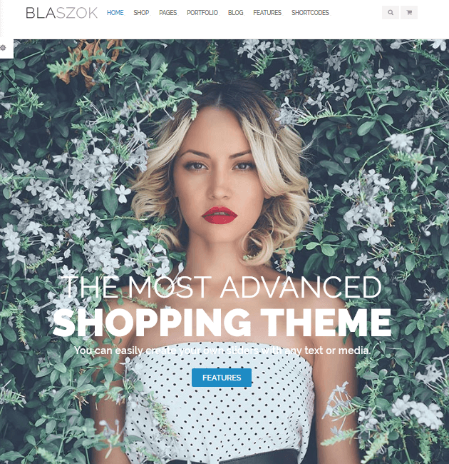 Blaszok - eCommerce WordPress Themes