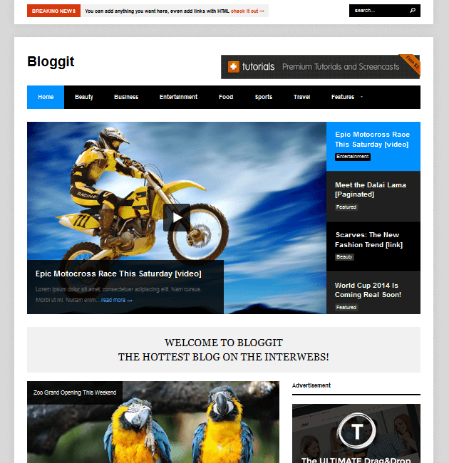 Bloggit - Ad-Space WordPress Themes