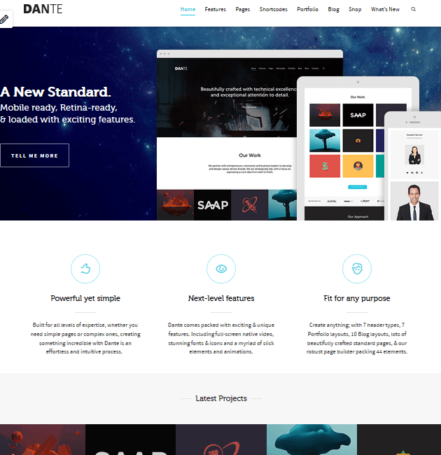 Dante - eCommerce WordPress Themes