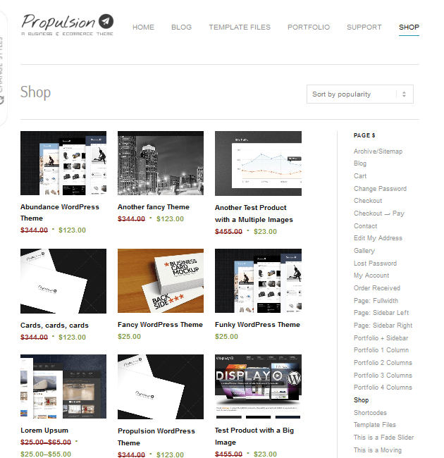 Propulsion - eCommerce WordPress Themes