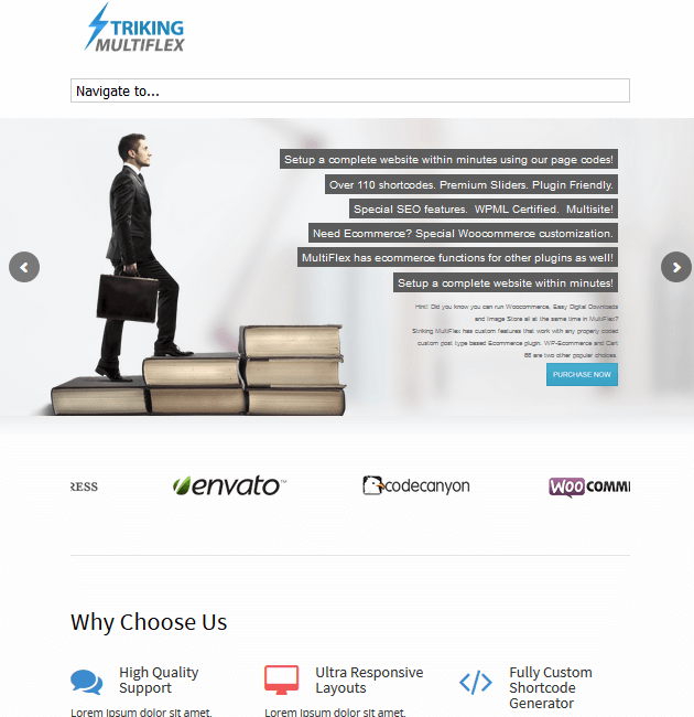 Striking MultiFlex - eCommerce WordPress Themes