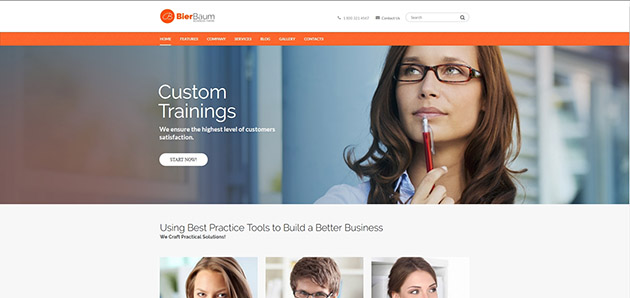 Bierbaum - Business Consulting Agency Theme