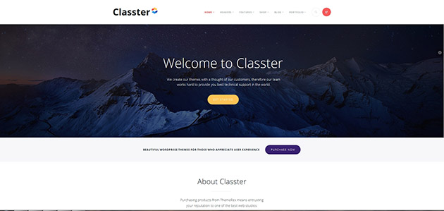 Classter - Multi-Purpose WordPress Theme