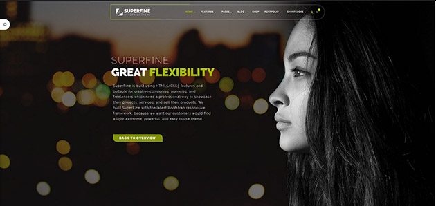 SuperFine - Multipurpose WordPress Theme 