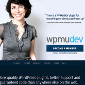 WPMU Dev Giveaway - One Year Membership for the Lucky Winner!