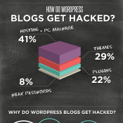 WordPress Security - An Infographic